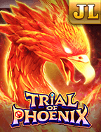 สอน สร้างเว็บพนัน สำหรับมือใหม่ที่อยากลองลุย